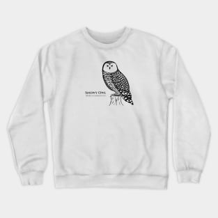 Snowy Owl with Common and Latin Names - hand drawn owl design Crewneck Sweatshirt